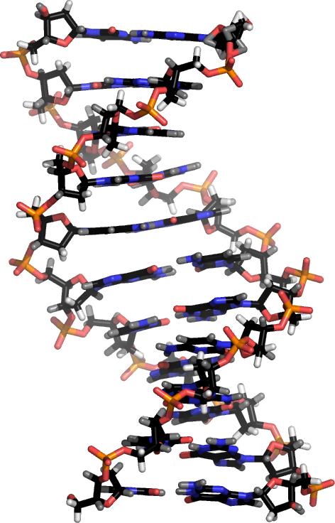 Structural data Single molecule in solvent concetrating on the dissolved molecule protein, DNA,.