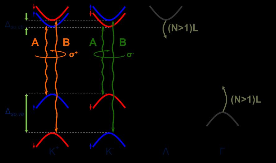 Fig. 1. Diagram of subbands in the conduction and valence bands at the K +, K, Λ, and Γ points of the Brillouin zone in monolayer MoSe 2.