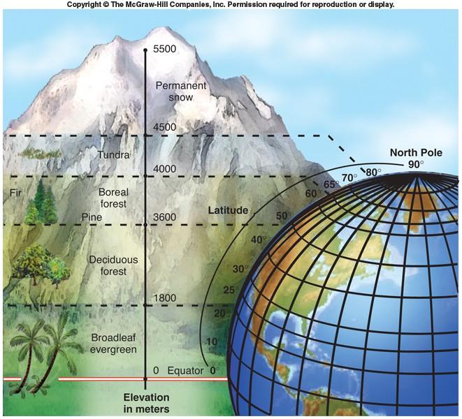 The Effect of Elevation on Climate and Vegetation