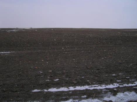 Snow Cover and Drought Insulating layer between soil/surface