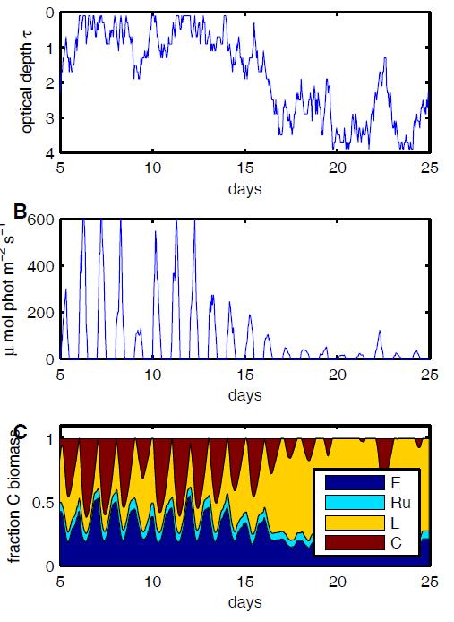 Emergent strategies in fluctuating environments Slow variability C storage over