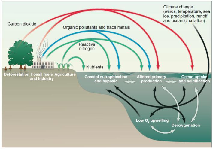 How will the (rest of the) biosphere respond to