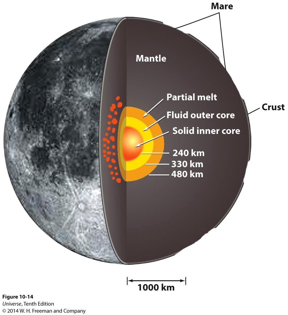 Moonquakes Seismic detectors set up on Moon by astronauts > Essentially found to be inactive and has simpler structure than Earth s