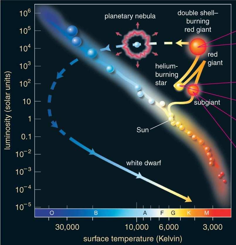 White dwarf cooling cool off and grow dimmer with time Eventually