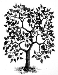 What does it predict? It is important to realize that evolution predicts a tree - like pattern to life; not the Greek ladder of life pattern.