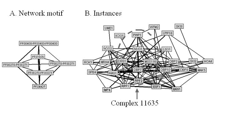 Figure 4.6 Instances found in the yeast protein interaction network for the network motif shown in Figure 4.5.