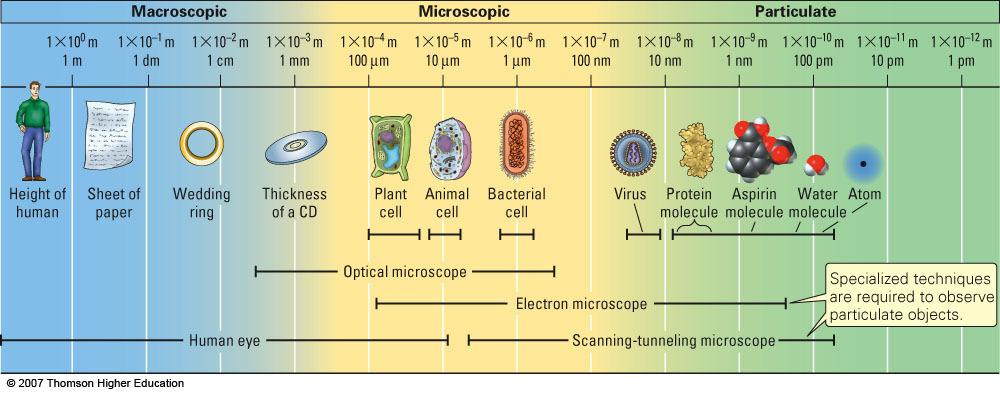 Microscopic samples of matter: Tiny animals or plants Cells Crystals on rock surfaces Micro- means small Particulate samples of matter: Too small to see, even with the most powerful optical