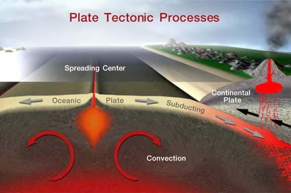 Plate Tectonics New crust forms along mid-ocean spreading centers and continental rift zones.