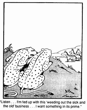 10. Which concept is referred to in the cartoon below? 11. A researcher recently discovered a new species of bacteria in the body of a tubeworm living near a hydrothermal vent.