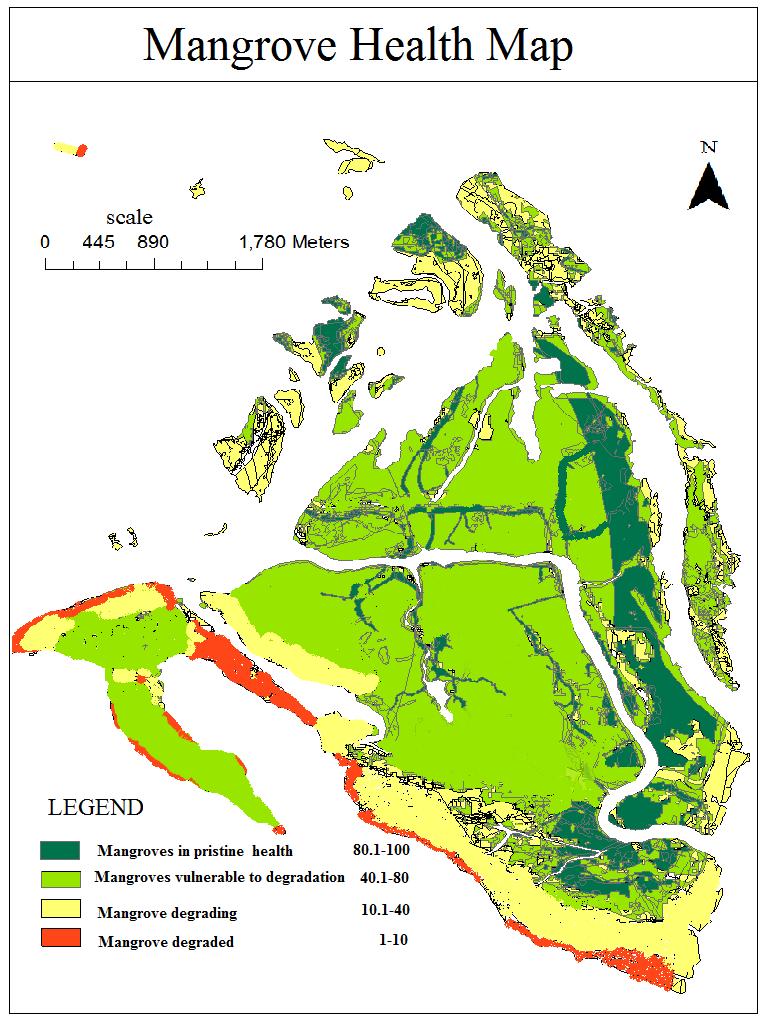 Health Assessment Modelling of Pichavaram Mangroves by the Application of Remote 107 Erosion/Accretion Erosion and accretion of mangrove stands occurs along shore/river banks.