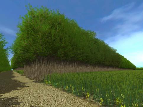 crop cultivation (DBU) Lenné3D GmbH 3D-Virtual urban environments