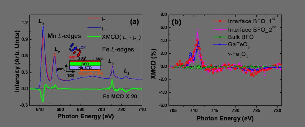 Figures [Figure 1] (a) XAS and XMCD spectra of Mn and Fe L 2,3 edges taken at 10