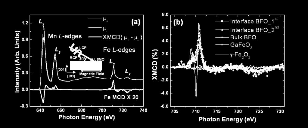 (b) Comparison of the interface Fe XMCD with bulk BFO, GaFeO 3 and γ-fe 2 O 3.