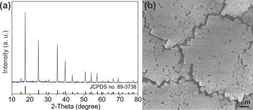 Fig. S1 XRD pattern (a) and large-scale SEM image (b)