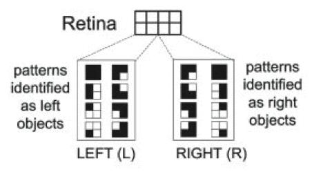 Retina Problem object on left side? object on right side?