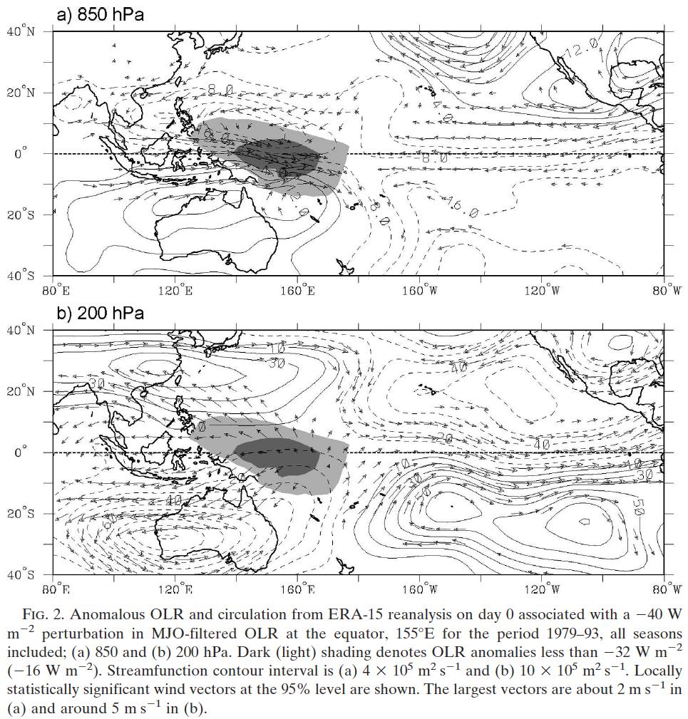Observations of the MJO: Filtered L