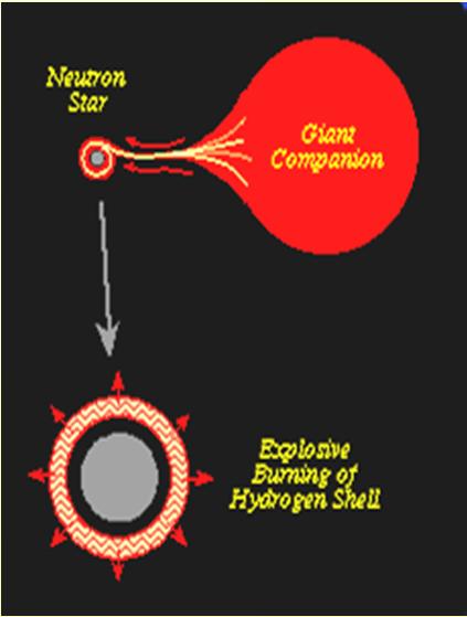 Exotic Nuclei : Nuclear Astrophysics X-ray bursts: Source of intense X-ray emissions generated by thermonuclear runaway in the H-rich environment of an accreting n-star, fed from a binary red giant