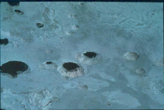There are water-filled craters in the avalanche