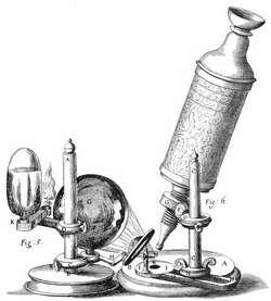First to View Cells In 1665, Robert Hooke used a microscope to examine a