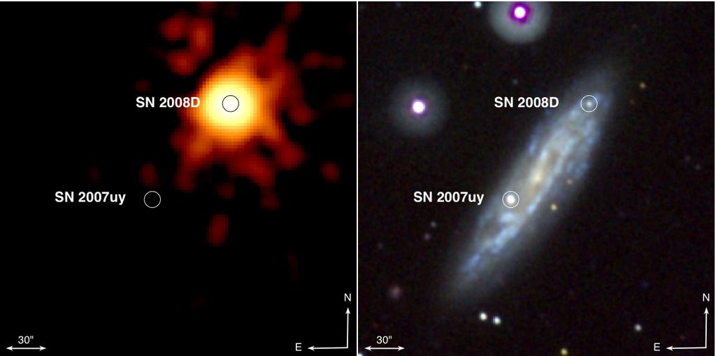 Gravitational Collapse Supernovae result from the explosive death of a star and are classified as two types.