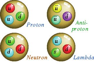 3 RD Although there are many types of hadron only two, protons and neutrons, are found in ordinary matter.