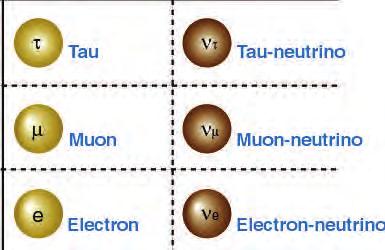 Only the electron and the electron-neutrino are stable.