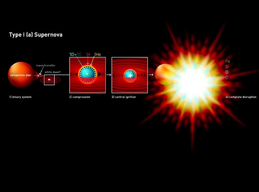 Type Ia Supernovae from