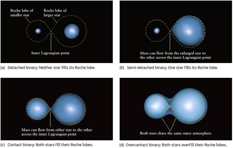 Accretion Disks A red giant in a close binary system may transfer mass to its companion star and alter the evolution of both stars.
