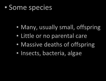 Species Have Different Reproductive Patterns Type III Some species Many, usually small,
