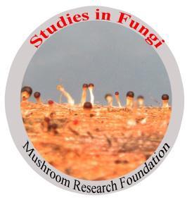 Studies in Fungi 1 (1): 130 134(2016) ISSN 2465-4973 Article Doi 10.
