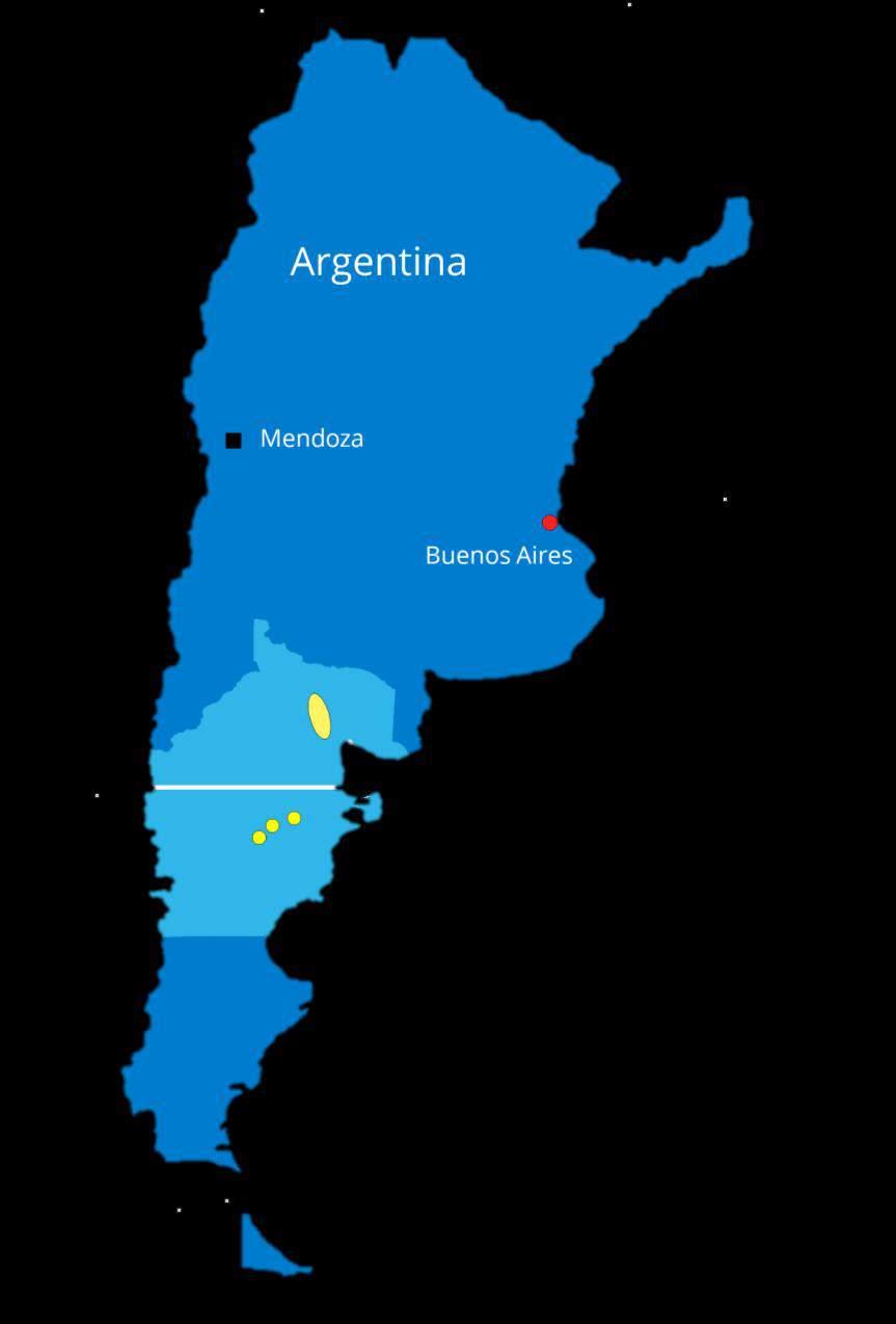 short-lead-time, uranium supplier to domestic (Argentina) and international markets Near-surface mineralization, hosted by unconsolidated sands and gravels Leachable & Potentially