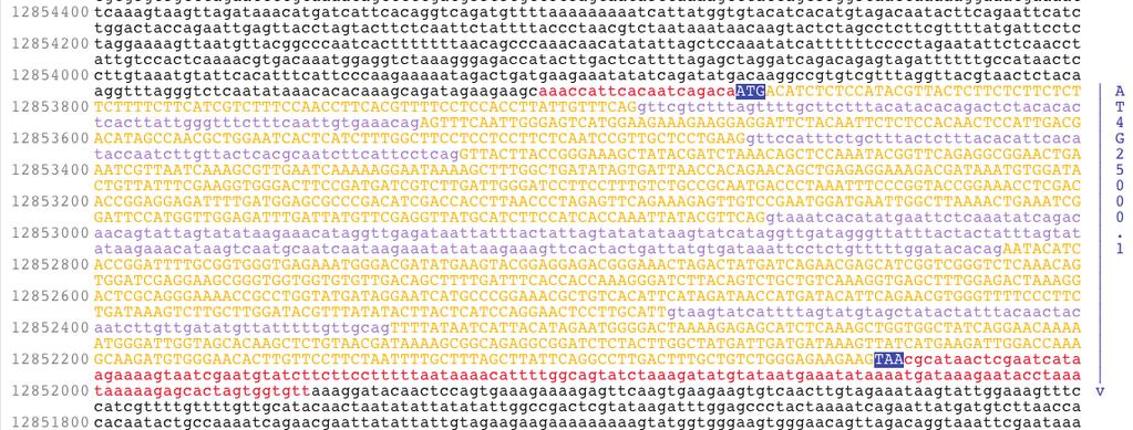 Clarence Leung Fig 1. A sample DNA dataset represented in digital format.