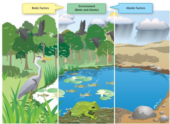 33. Describe characteristic biotic and abiotic components of an ecosystem.