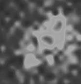 844 S. W. Allen et al. Figure 2. The 8.4-GHz radio image of 3C 295 (contours) overlaid on the Chandra image at maximum spatial resolution ð0:492 0:492 arcsec 2 pixelsþ.