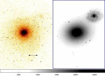 luminosity E/S0 Galaxies Groups