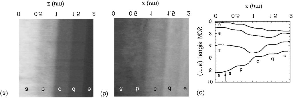 Scanning Capacitance Microscopy on epitaxial Si-layers 63 Before we discuss our SCM data, we have to introduce the following important convention concerning the bias polarity: In analogy to textbooks
