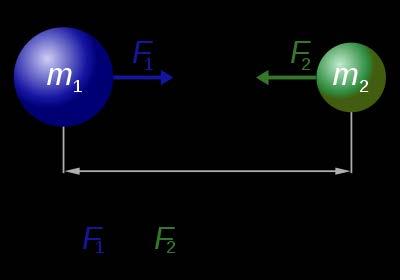 Newton s Law of Universal Gravitation Mathematically, the