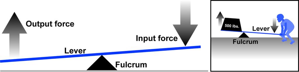 Anatomy of the Lever Fulcrum point around which the lever rotates Input