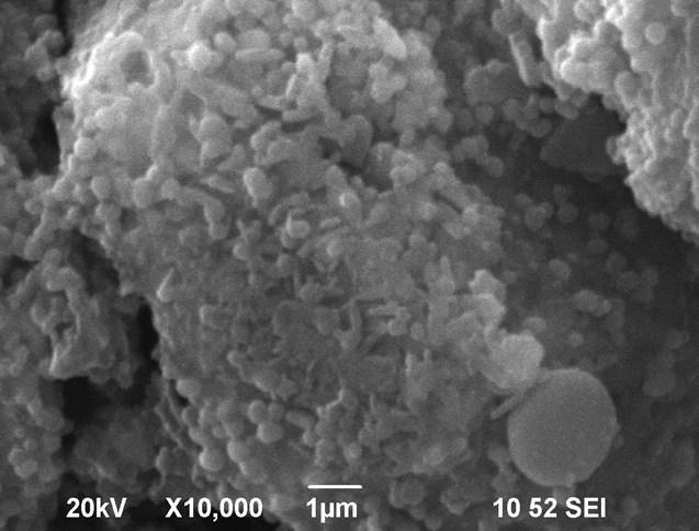 Figure S3. The SEM images at different magnifications (a x1 500 and b x10 000) of the electrode cycled 25 cycles between 2.0 and 5.0 V,