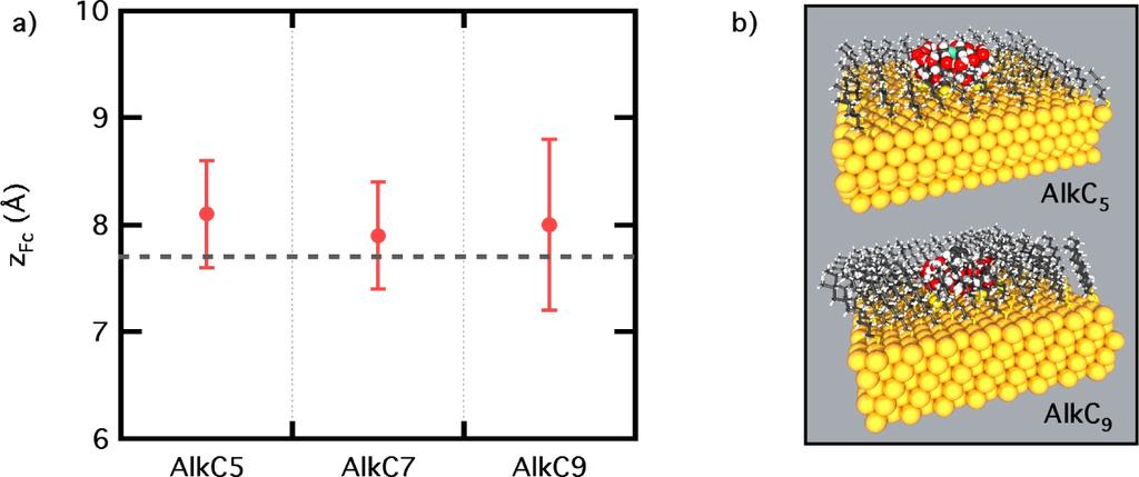 Figure 7. (a) z-positions of the center of mass of the Fc + as a function of the length of the coadsorbed chains. (b) Snapshots of Fc + -C n S-/β-CD-Au SAMs with AlkC5 and AlkC9. Figure 8.