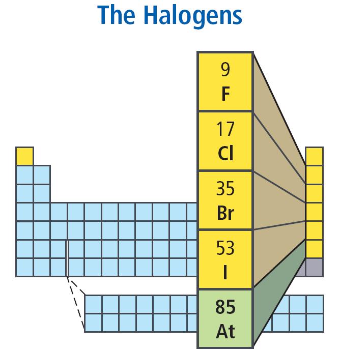 Halogens Halogen lights contain small amounts of bromine or iodine vapor. Highly reactive! High electronegativity.