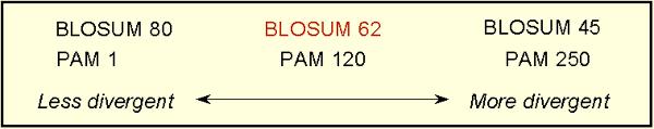 PAM vs BLOSUM PAM is based on closely related sequences, thus is biased for short evolutionary distances where number of mutations are scalable PAM is based on globally aligned sequences, thus