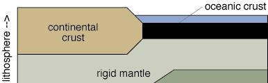 The mantle Surrounding the inner and outer core is the mantle
