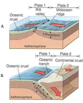 GLY 162 Tectonic Processes: Volcanism Ms.
