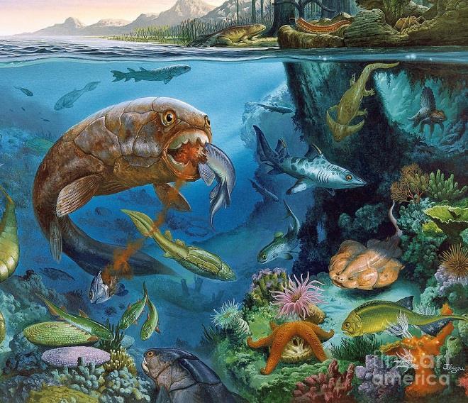 570 million years ago Invertebrates,