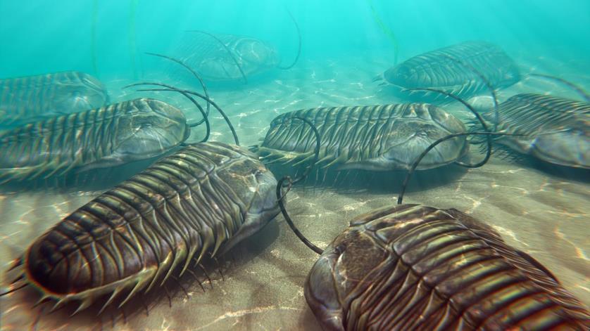 Trilobites ruled the ocean Cambrian