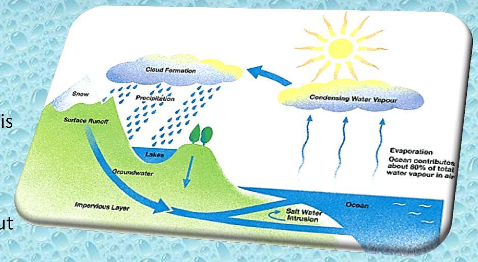The Water Cycle When the droplets grow larger and heavier, they fall back to Earth s surface as precipitation rain, snow, hail.