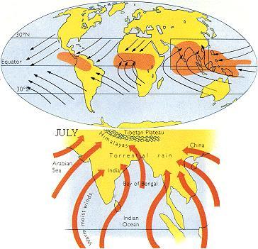 The Geography of Weather Winds are influenced by Earth s spin.
