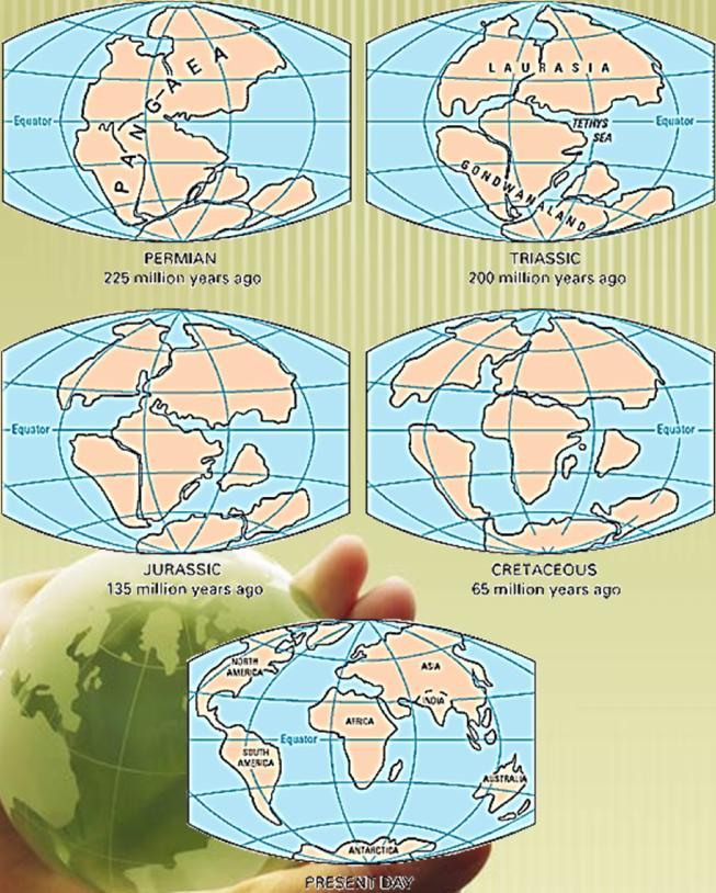 Plate Tectonic Motion If you look at a map of the world, you may notice that different continents seem to fit together like a giant puzzle.