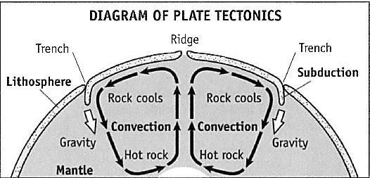 What causes plate movement? Scientists believe heat and gravity may be responsible for the movement of tectonic plates. Convection is the spread of heat through the movement of a fluid substance.